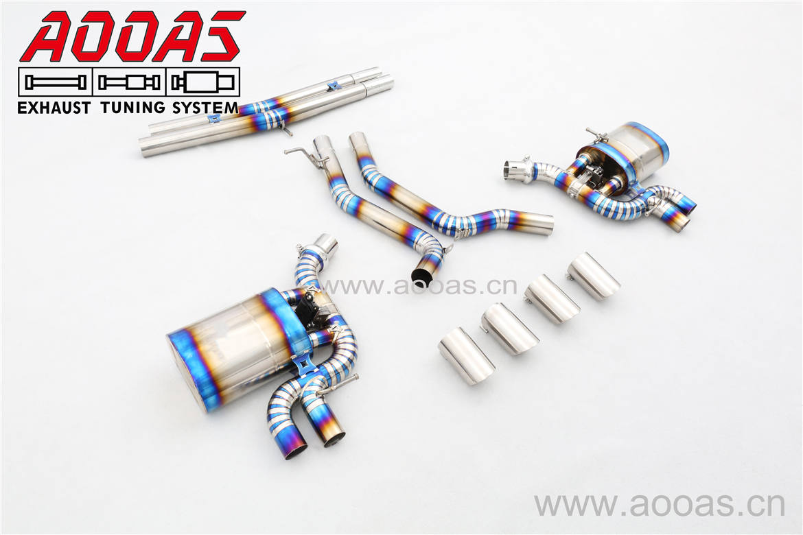 Audi S5 B 9 3.0T    Titanium /Valvetronic Catback System